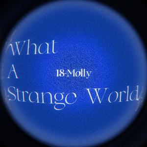 GingaMingaYo (the strange world)