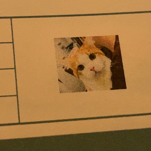 Conner （New Edition）