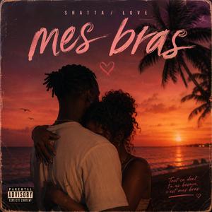 Mes bras