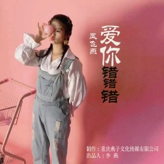 爱你错错错