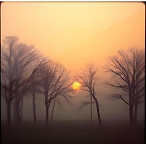 새벽 초입, 낮은 숨결