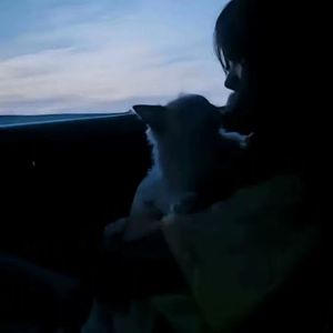 随缘地抛下便逃走