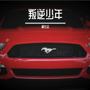 叛逆少年