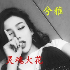 灵动火花,琼海国渡版 (DJ版)