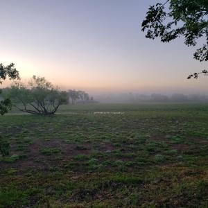 I will wait for you in Austin