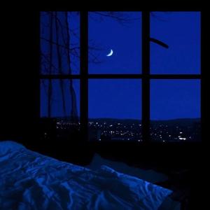 i fell asleep in my own dream