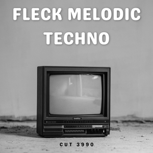 Ripost
