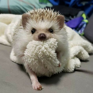 cruel summer (sped up)