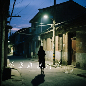 不要再说对不起