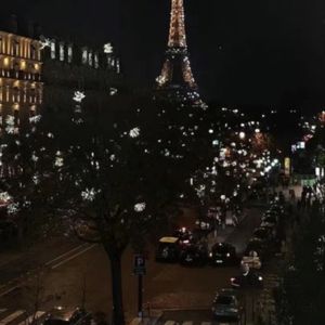 SunflowerFeelingsSlow