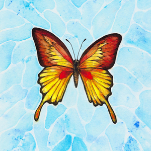 I Thought You Should Know