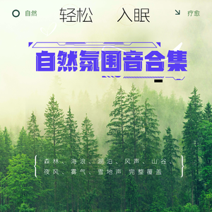 海浪轻拍 · 静夜海岸放松音