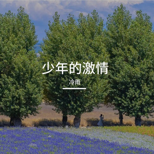 少年的激情