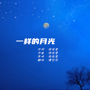 一样的月光