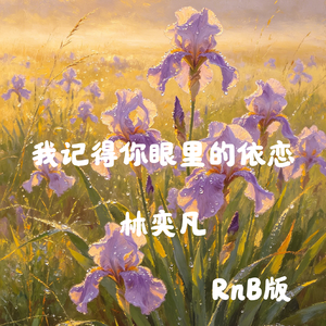 我记得你眼里的依恋（RnB版）
