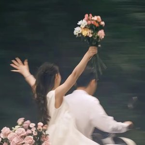 执着于我这一朵