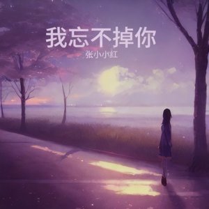 我忘不掉你（伴奏）