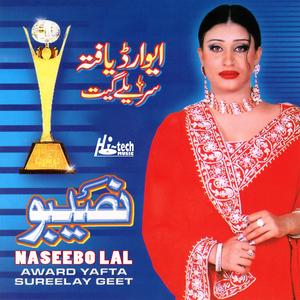 Ve Sohniyan Akhan - Vehshi Badmash