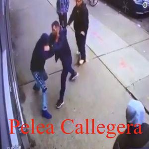 Pelea Callegera