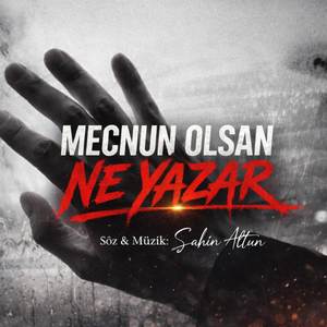 Mecnun Olsan Ne Yazar