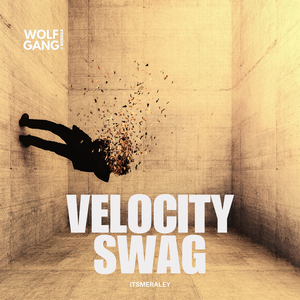 Velocity Swag