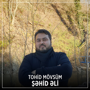 Şəhid Əli