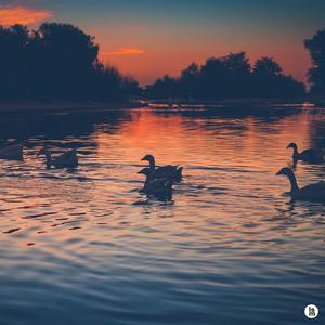 호수의 품 안에서