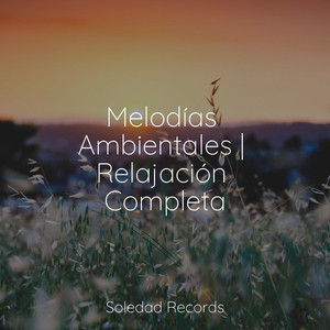 Al Otro Lado Del Cosmos