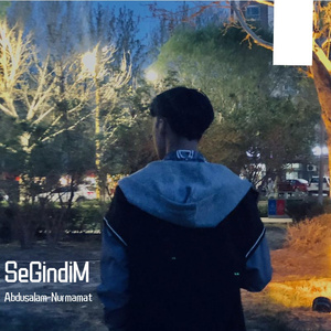 SeGindim