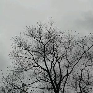 恶作剧