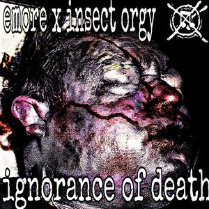 Ignorance Of Death (feat. emore)