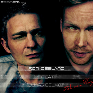 Sieh mein Herz (Feat. Jonas Belkot)