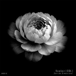 Intrepida (Original Mix)