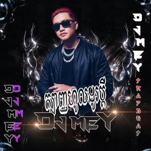 ត្បាញហូលដូរប្ដី រីមុិច