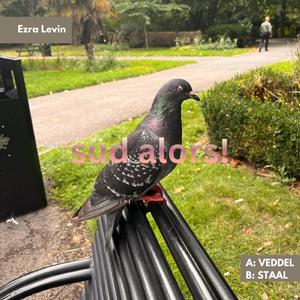 veddel