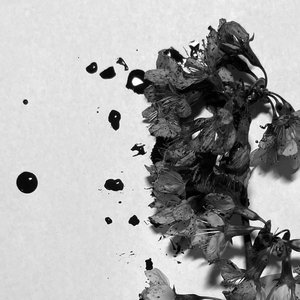 Vértebra (A Revolta da Carne)