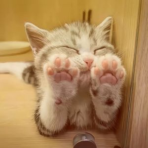 所谓永恒不过是眼泪的后调