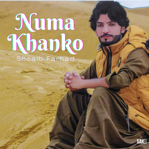 Nuqsanase Nanke