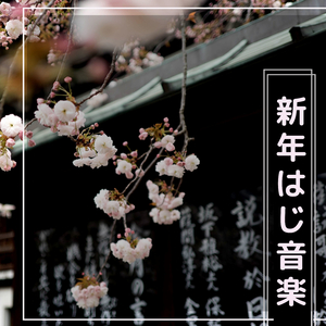 白き花びらの喜び