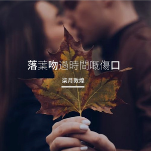 落葉吻過時間嘅傷口