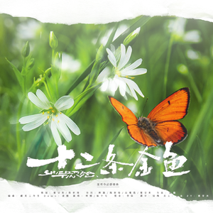 十二条金鱼-巫哲作品群像曲