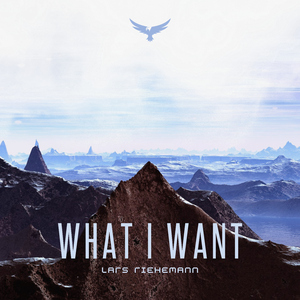 What I Want