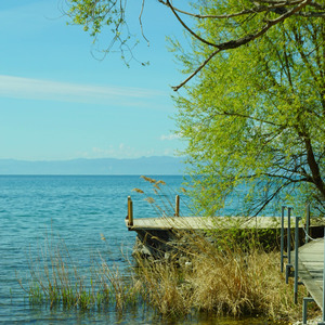 Cuida da terra _Fogo na floresta//cuidado com a floresta
