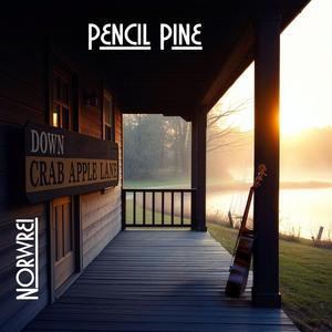 Pencil Pine - Down Crabapple Lane