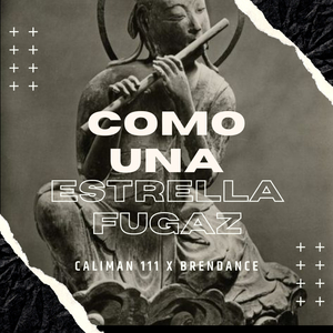 Como Una Estrella Fugaz