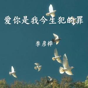 爱你是我今生犯的罪