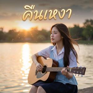 คืนเหงา