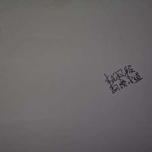 XXXTENTACION-$$$（LilWv remix）