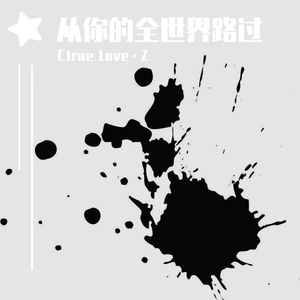 从你的全世界路过 prod MRZ