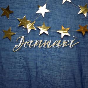 Januari (feat. Danielle)